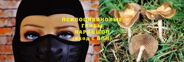 герыч Арсеньев